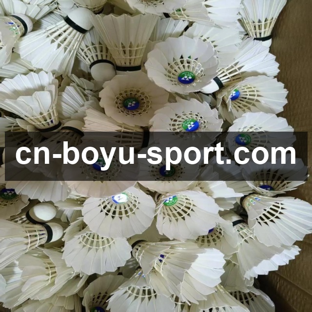 博鱼电脑版使用指南：全方位解析功能亮点与操作体验