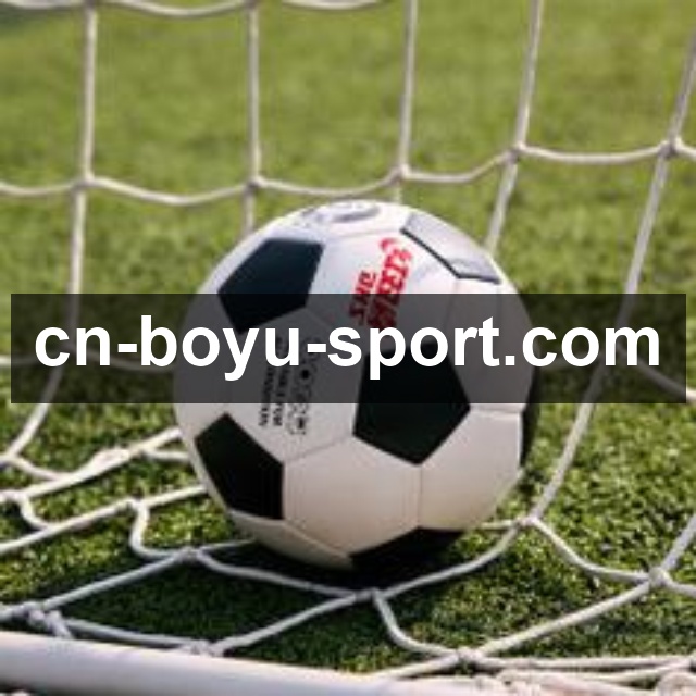 博鱼电脑版使用指南：操作体验解析及核心功能全面介绍